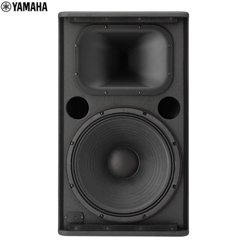 Loa Yamaha DSR112